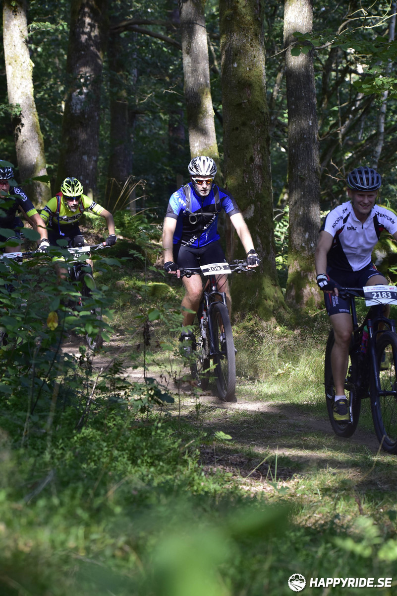 Bild från Bockstensturen 2019